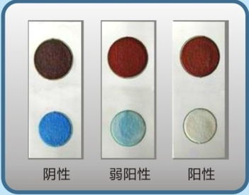 YTT-NS12便攜式農藥檢測儀檢測步驟